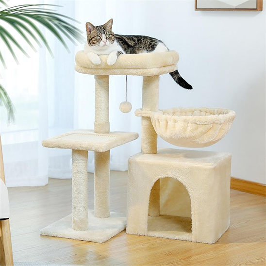 Petit arbre a chat | Compact - Royaumedechat.com