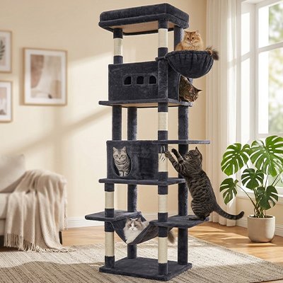 Arbre à chat privilégié.