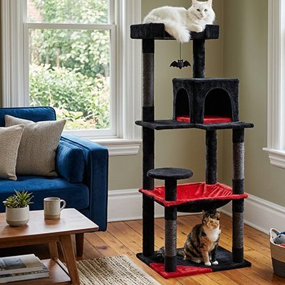  chat blanc sur le couchage supérieur et chat tigré assis au pied d’un arbre à chat noir et rouge.