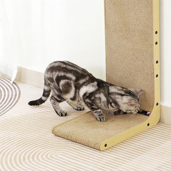 Griffoir Chat | Ultra - Résistant - Royaumedechat.com