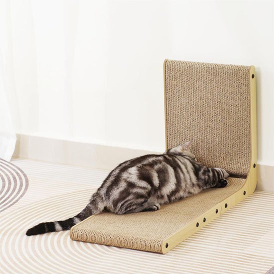 Griffoir Chat | Ultra - Résistant - Royaumedechat.com