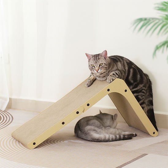 Griffoir Chat | Ultra - Résistant - Royaumedechat.com