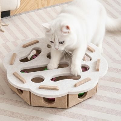 jouet pour chat divertissement 