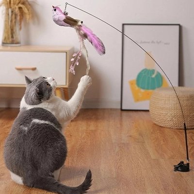 Jouet pour Chat | Interactif - Royaumedechat.com