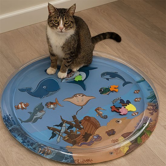 Jouet pour chat | Interactif - Royaumedechat.com