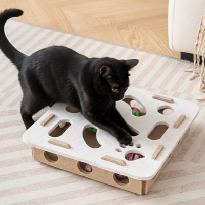 jouet pour chat plateau 
