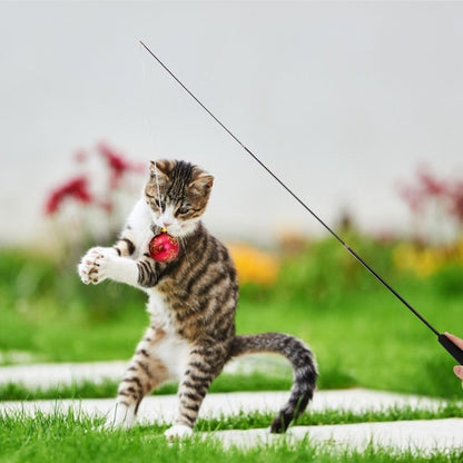 KittyCatch™ - Noir - Royaumedechat.com