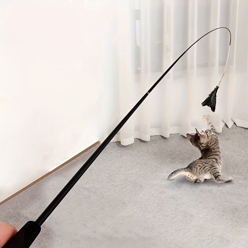 KittyCatch™ - Noir - Royaumedechat.com
