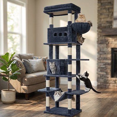plusieurs chats explorant les niches, le panier et le hamac d’un grand arbre à chat noir