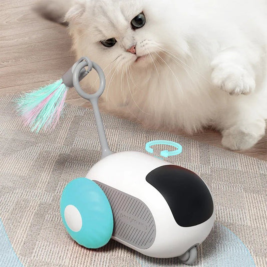 ToyFunCats™ - Bleu - Royaumedechat.com