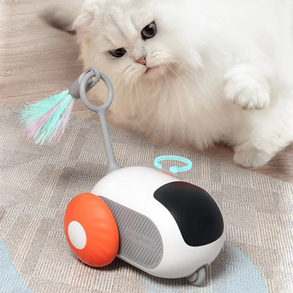 ToyFunCats™ - Orange - Royaumedechat.com